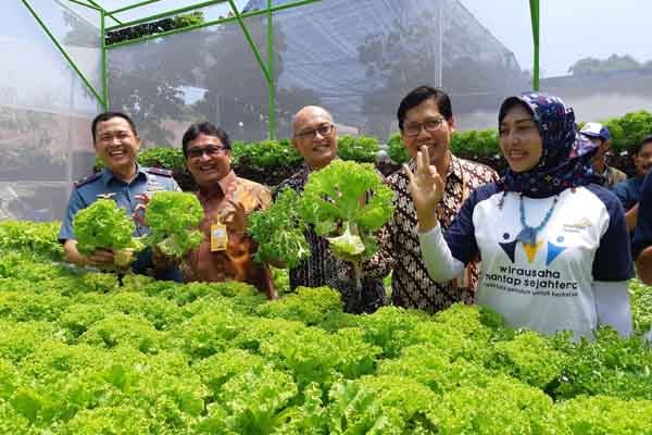  Bank Mantap Serahkan Rumah Hidroponik di Lantamal Malang