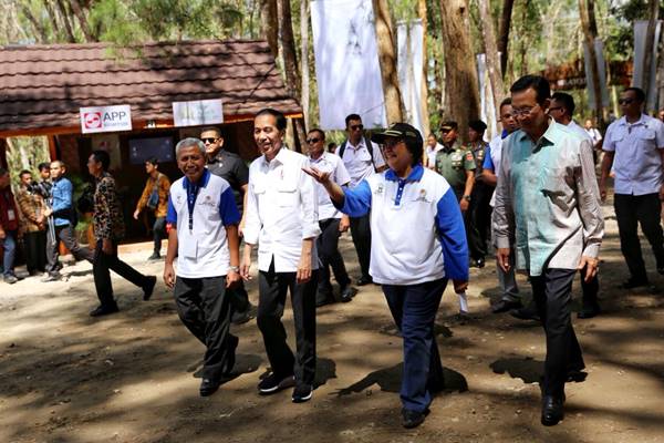  Buka Festival KPH, Jokowi Nikmati Keindahan Hutan Pinus di Dlingo