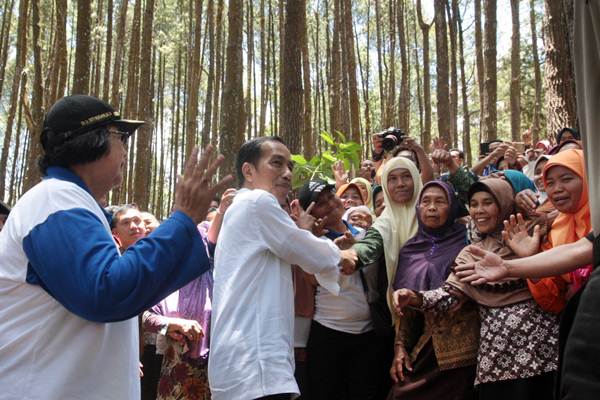  Presiden Jokowi Buka Festival Kesatuan Pengelolaan Hutan