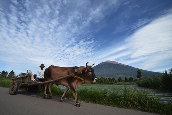  Demi Tour de Singkarak, Jambi Perbaiki Jalan di Kerinci