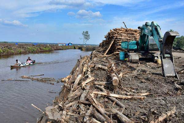  Transfer Teknologi dari Finlandia Mampu Genjot Industri Pulp Indonesia