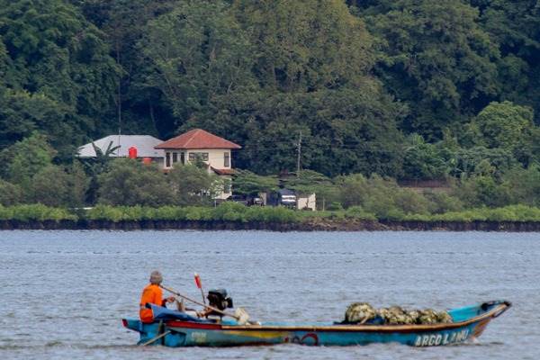 Lokasi Lapangan Tembak Tunggal Panaluan, yang akan digunakan untuk pelaksanaan eksekusi mati tahap III di Pulau Nusakambangan, terlihat dari dermaga penyeberangan Wijayapura, Cilacap, Jateng, Rabu (27/7/2016)./Antara-Idhad Zakaria