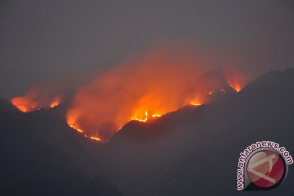  Taman Nasional Gunung Merbabu Terbakar, Pemadaman Baru Bisa Besok