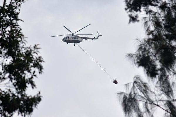  400 Hektare Lahan Gunung Merbabu Terbakar