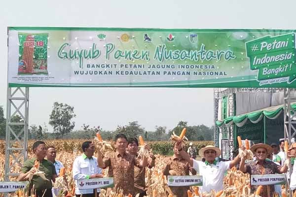  Moeldoko: Musim Panen Tiba, Harga Jagung akan Turun