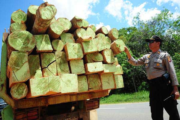  Tim Gabungan Amankan Enam Truk Kayu Jati Ilegal