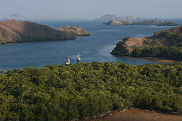  ASDP Bakal Luncurkan KMP Komodo di Labuan Bajo