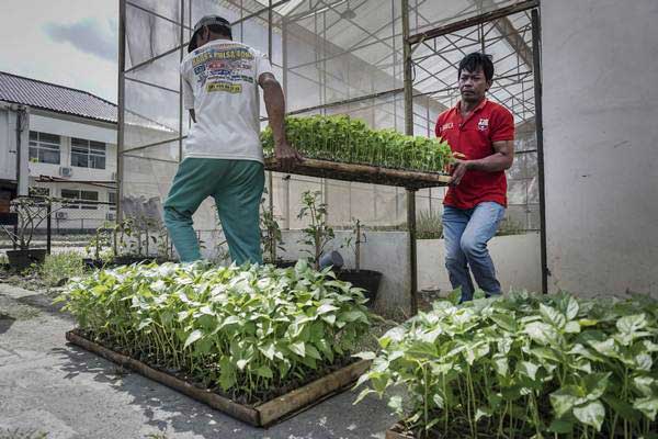  TEKNOLOGI PERTANIAN : IoT Telkomsel Fokus di Agritech