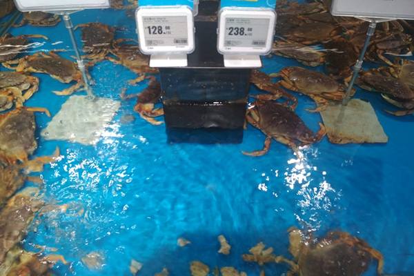 Mengenal Hema, Tempat Makan dengan Kecerdasan Buatan