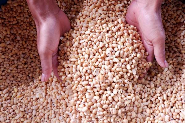  El Nino Untungkan China dalam Perang Dagang dengan AS