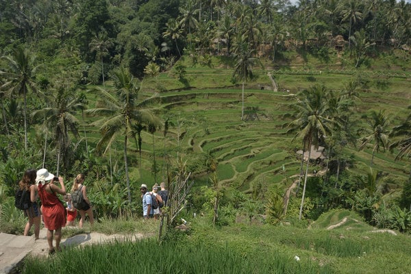  Perhutanan Sosial di Bali Dongkrak Kunjungan Wisatawan