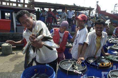  Perikanan Budi Daya Jadi Tumpuan, Kadin Minta Pemangku Kepentingan Tingkatkan Kerja Sama