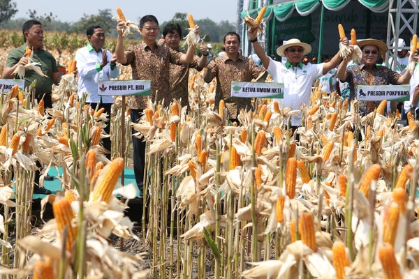  BUMD di Kabupaten Kediri Diminta Tampung Jagung Petani