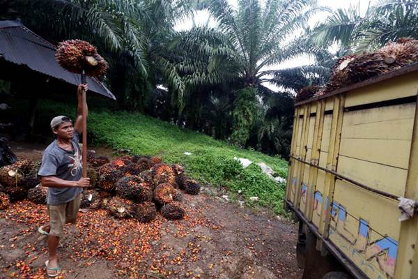 Petani memindahkan kelapa sawit hasil panen ke atas truk di Kabupaten Sukabumi, Jawa Barat, Rabu (4/4/2018)./JIBI-Rachman