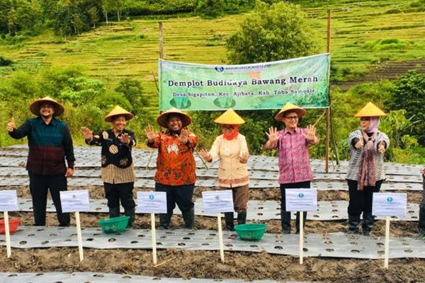  BI, BPODT dan Pemkab Toba Samosir Kembangkan Spot Atraksi di Danau Toba