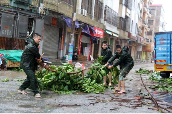  Hujan Deras Guyur Jakarta, Pohon di Jatinegara Kaum Tumbang