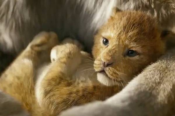  Sehari, Trailer \"The Lion King\" Disaksikan 224.600.000 Penonton