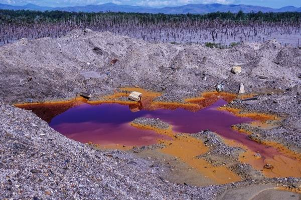  Kebun Sagu Tercemar Limbah Merkuri di Gunung Botak, Maluku