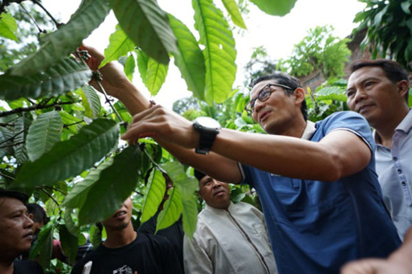  Pemerintah Gagal Berantas Tengkulak, Sandiaga: Harga Kopi Kian Pahit