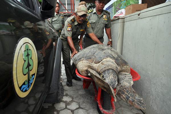  Operasi Tumbuhan dan Satwa Liar