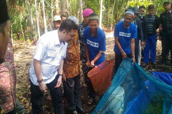  Badan Restorasi Gambut Dorong Hasil Penelitian Jadi Acuan Perda