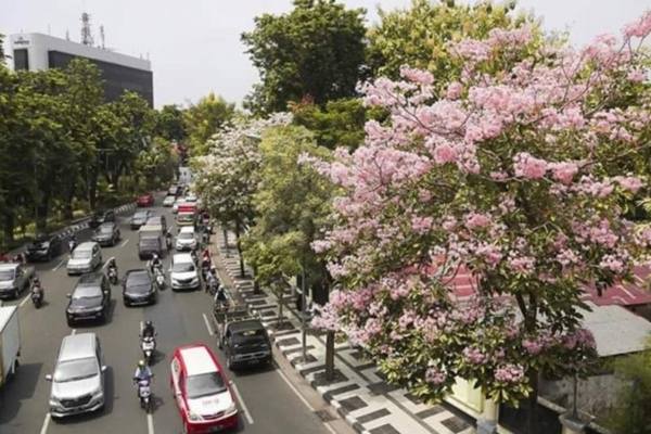  Surabaya, Salah Satu Kota dengan Pembangunan Berkelanjutan
