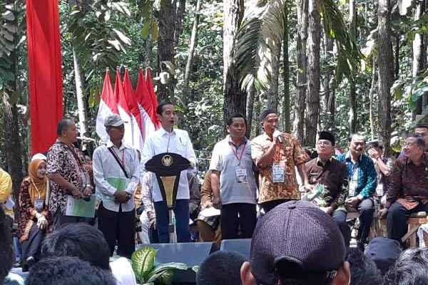  Jokowi Serahkan Izin Perhutanan Sosial di Jambi