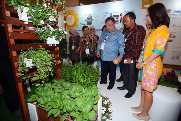  Pameran Urban Farming Ewindo