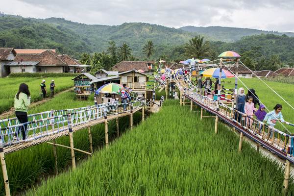  Agro Wisata Minapadi Sawah Lega