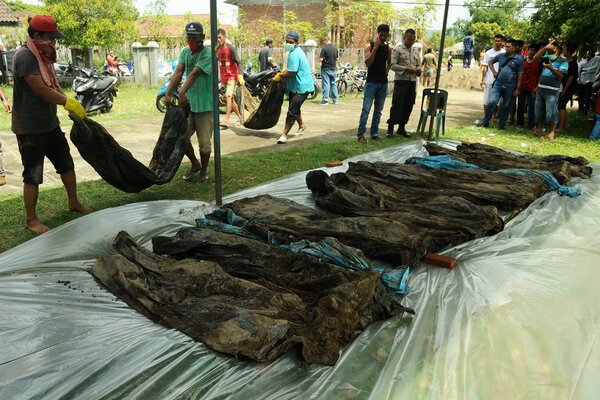  Jasad 45 Korban Tsunami Aceh Ditemukan Setelah 14 Tahun