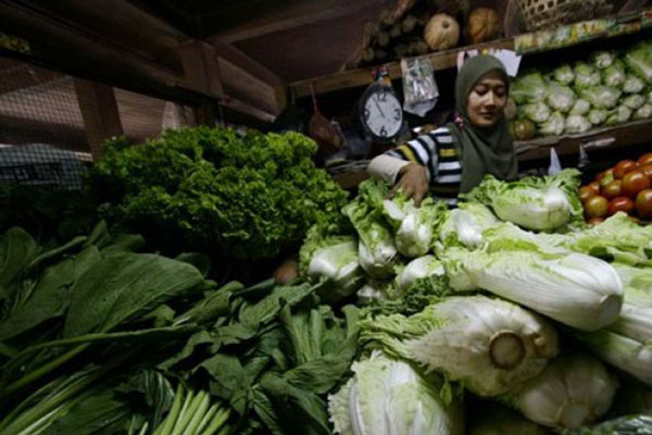  Perhatikan Cara Menyimpan Makanan Ini