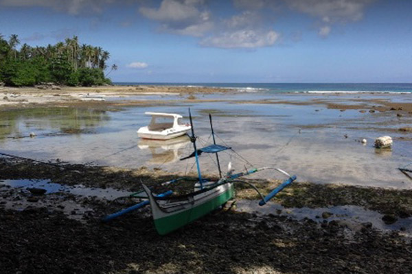  Ini Penyebab Gempa Talaud, Tidak Picu Tsunami