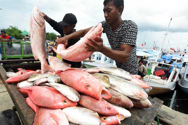  Akibat Cuaca Buruk, Harga Ikan Tenggiri Naik 83 Persen, Cumi-Cumi 129 Persen di Pangkalpinang