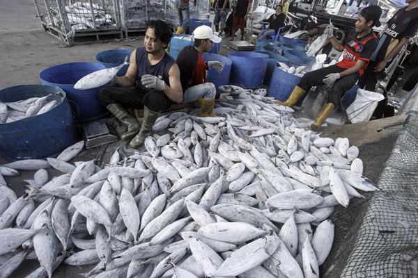  Pasok Ikan Segar di Pasar Pangkalpinang Berkurang, Harga Naik