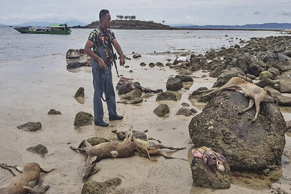  Polisi Tangkap Pemburu di Taman Nasional Komodo