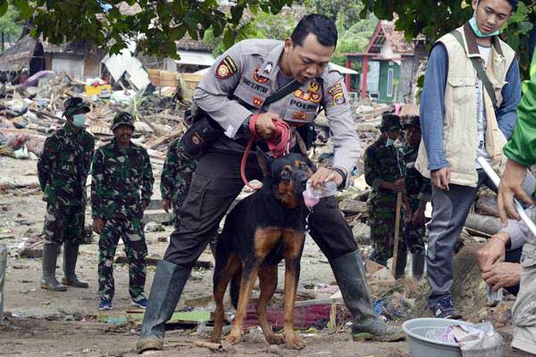  Tanggap Darurat Tsunami di Lampung Diperpanjang Sepekan