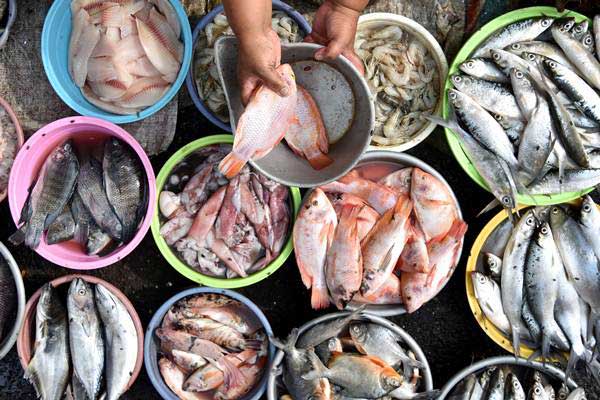  Harga Ikan di TPI Sungaliat 3 Hari Terakhir Meningkat