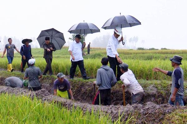  Pemerintah Sudah Merehabilitasi Irigasi Primer Tiga Juta Hektare