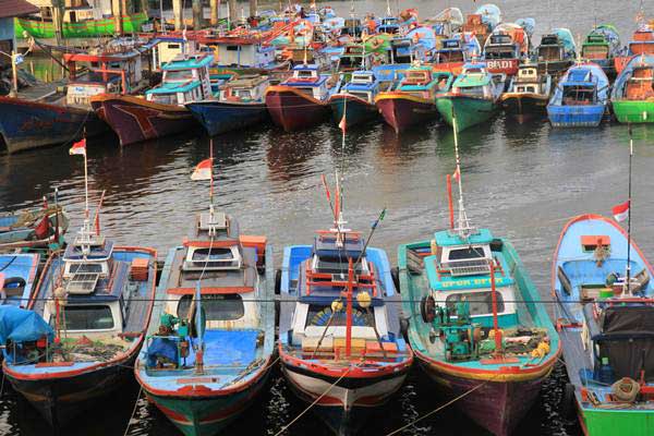  Realisasi Produksi Ikan Kulon Progo Lewati Target