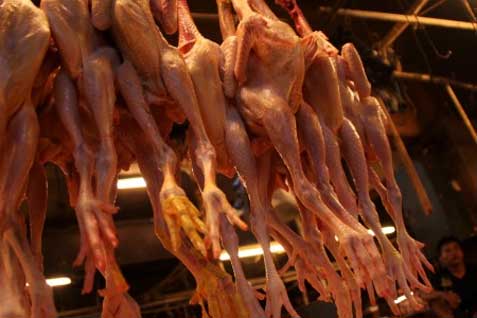  Harga Daging Sapi dan Ayam di Kaltim Mulai Turun