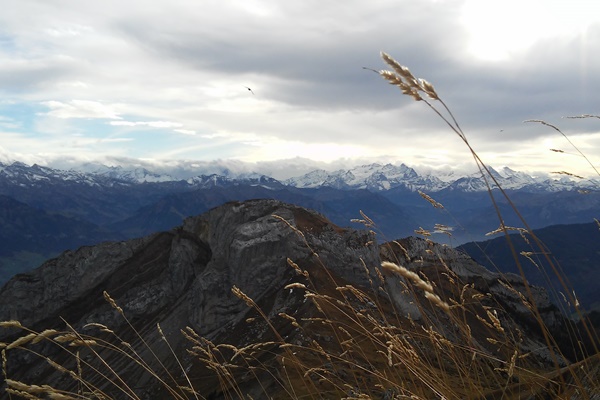  Perjalanan ke Gunung Pilatus dan Melihat Alpen Lebih Dekat