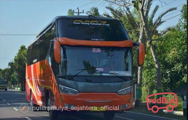  ANGKUTAN AKAP  : Putera Mulya Operasikan Bus ‘Trans-Jawa’