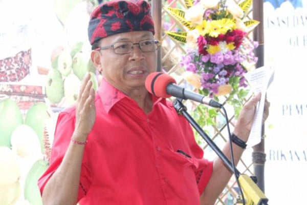 Gubernur Bali Wayan Koster/Antara