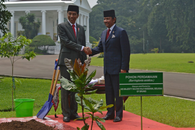  Sultan Brunei Panen Padi Perdana Asal Indonesia