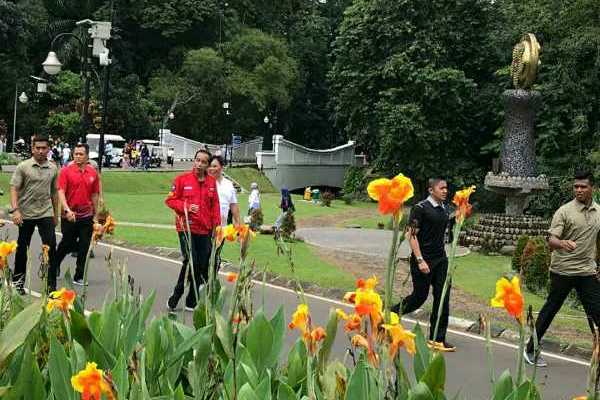  Jelang Debat Capres, Jokowi Awali Hari Dengan Lari Pagi di Kebun Raya Bogor