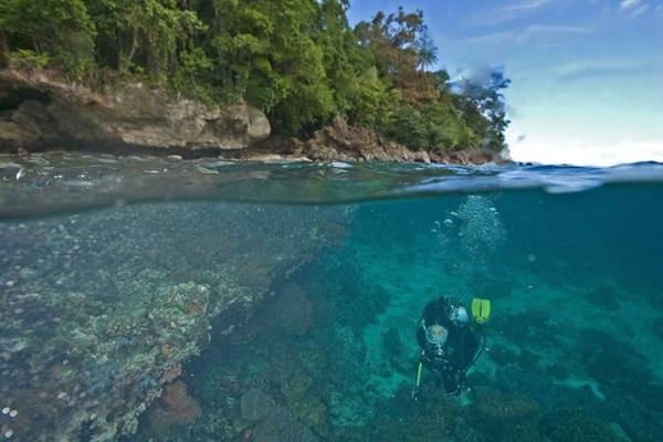  \'Underwater Photo Competition\', Tawarkan Hadiah Rp150 Juta