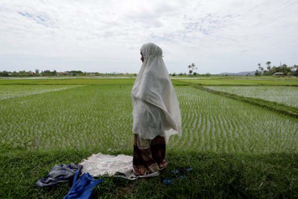  Lahan Pertanian di Kabupaten Bogor Terus Menyusut