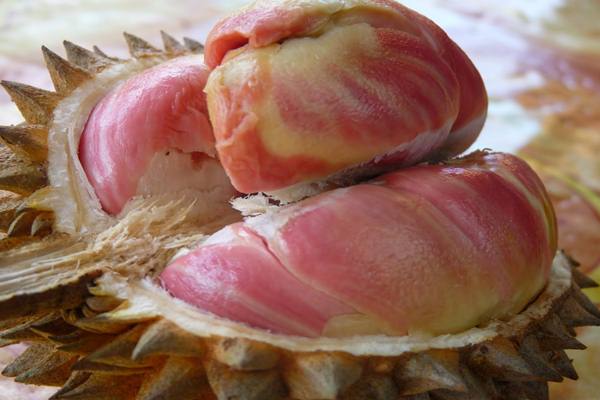  Manfaat Durian, Stabilkan Gula Darah hingga Obat Infertilitas