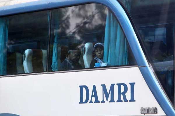 Bus Damri. /Bisnis.com