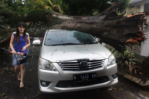  Angin Kencang di Malang Robohkan 24 Pohon, Rusak 2 Mobil, Lukai 2 Orang Pemotor